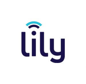 Lily-1-300x295